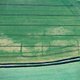 A Roman site near Magor, south Wales.